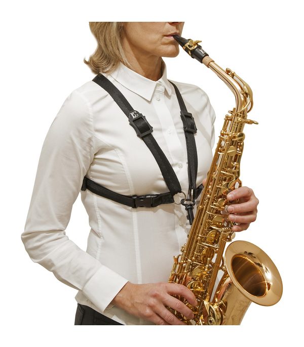BG Franck Bichon Sele BG Saxofon S41SH Lady